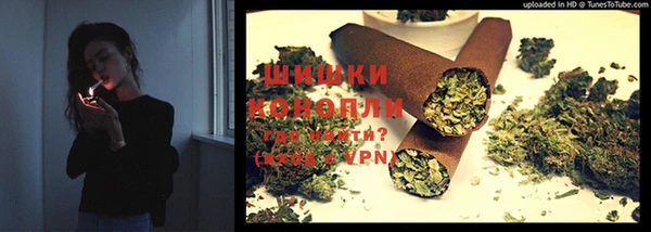 Альфа ПВП Осинники