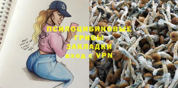 метадон Чекалин
