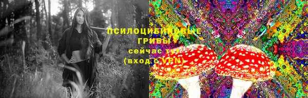 ECSTASY Чегем