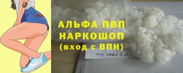 ECSTASY Чегем