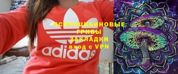 Альфа ПВП Осинники