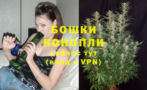 ECSTASY Чегем