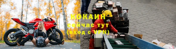 Альфа ПВП Осинники