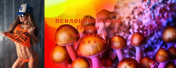 метадон Чекалин