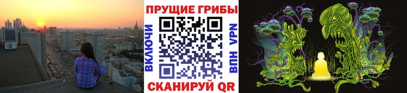 Галлюциногенные грибы Psilocybe  kraken вход  Баймак  хочу  
