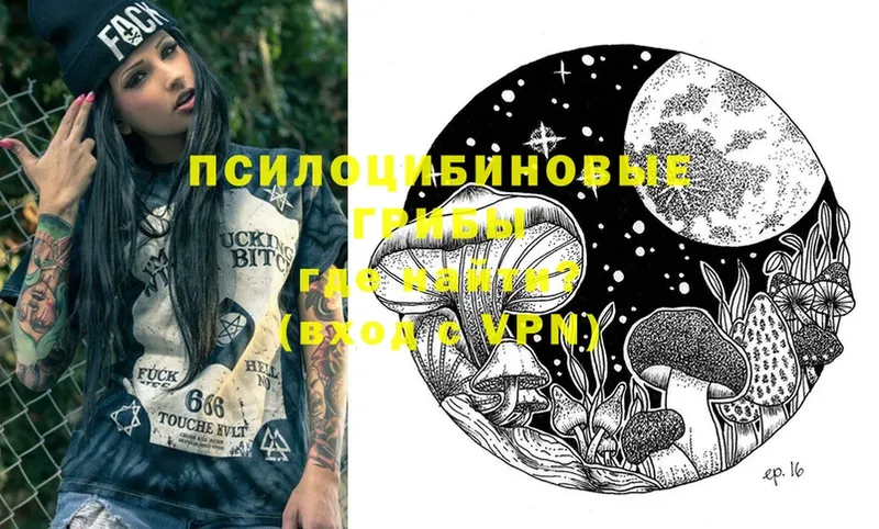 ссылка на мегу сайт  купить наркотики сайты  Баймак  Псилоцибиновые грибы Psilocybe 