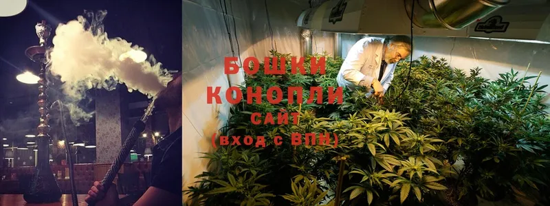 Конопля сатива  Баймак 